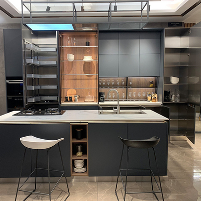 CAD Drawing Economical Modular Kitchen Cabinets With Lacquer Paint Doors