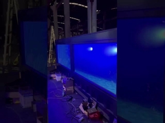 High Quality Chinese Factory Outlet Modular Prefabricated Shipping Container Swimming Pool