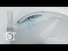 Easy Installation Sanitary Ware Close Stool Bowl Heating Toilet